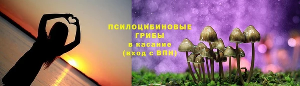ALPHA-PVP Арсеньев
